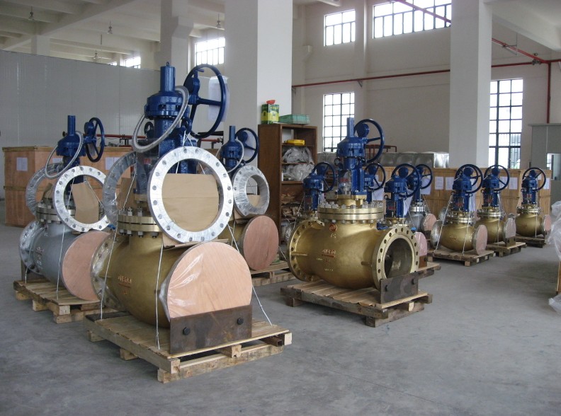 �����ֹ�y����D