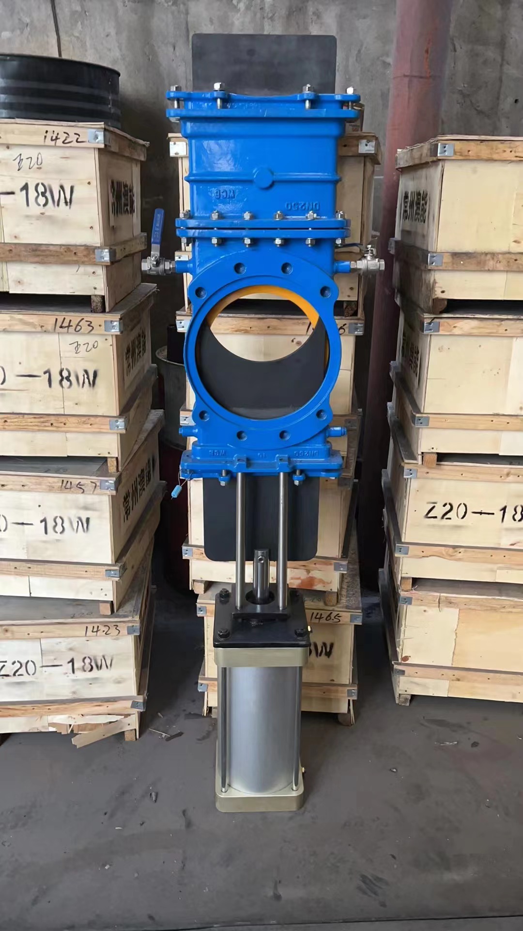 ��͸ʽ����y�DƬ