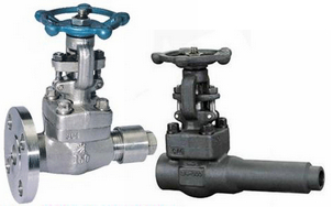 �ſՌ�(d��o)���y