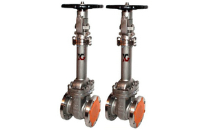 ���y���l�y