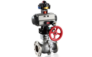 ��ӎ���݆���y