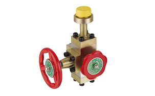 ��������ֹ�y